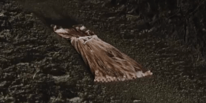 Screen Shot 2013-11-16 at 22.52.12