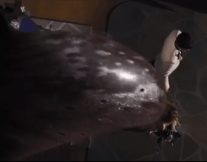 Screen Shot 2013-11-30 at 23.12.51