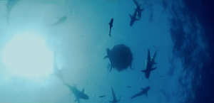 Screen Shot 2013-12-29 at 16.14.55