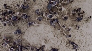 The-Raid-2-Berandal1-718x400