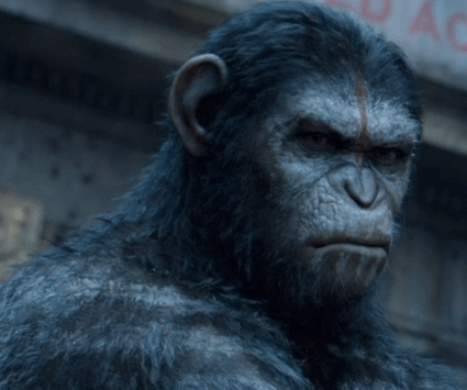 Screen Shot 2014-07-19 at 19.43.43