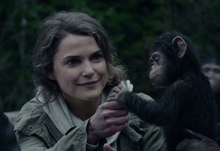 Screen Shot 2014-07-19 at 19.45.20