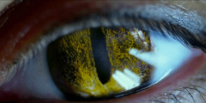 Screen Shot 2014-08-31 at 21.25.08