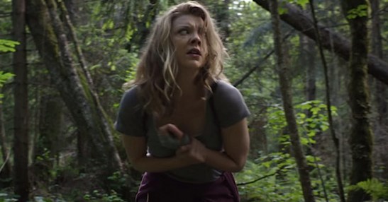 theforestnataliedormer