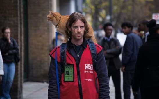 221016sdmbobcat07-large_trans_nvbqzqnjv4bqdkzkxr-lwvqcrujme69umnqth1-2lonx1_m9ptk7bza