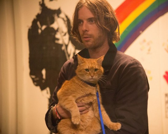 bob-luke-treadaway-james-a-street-cat-named-bob-big-issue-office-rainbow-photo-by-andreas-lambis