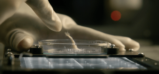 Screen Shot 2017-05-14 at 19.51.37