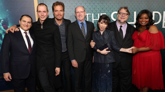 'The Shape of Water' film premiere, Arrivals, Los Angeles, USA - 15 Nov 2017