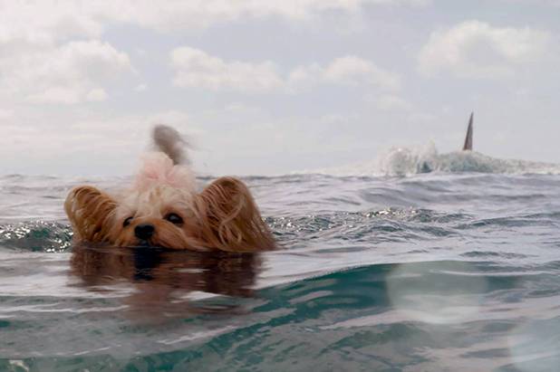 13111062_web1_meg-hero