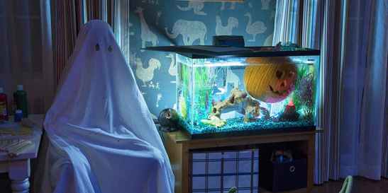 halloween-aquarium