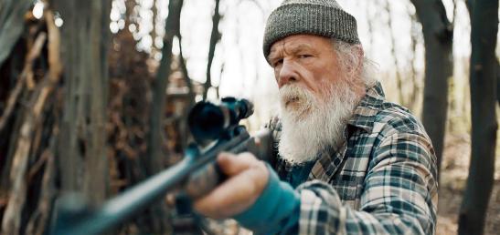 NINTCHDBPICT000515062734